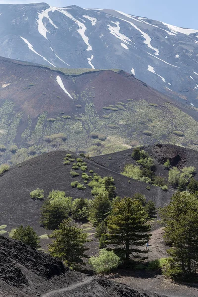 Utsikt över vulkanen Etna från fästen Sartorius — Stockfoto