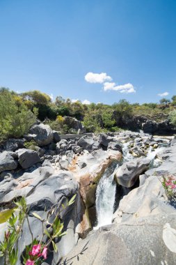 Gole dell Alcantara (Gorge Alcantara river) Sicilya