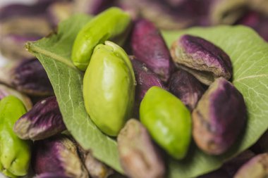 Bronte, yeşil taze fıstık