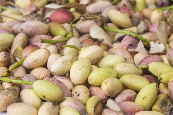 Green fresh pistachio of Bronte — Stock Photo, Image