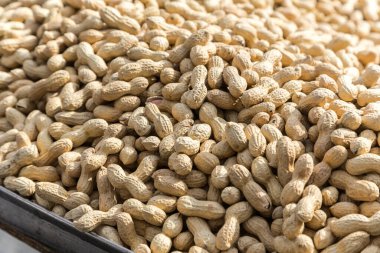 Kabuk dokusunda fıstık. Fıstık arkaplanı