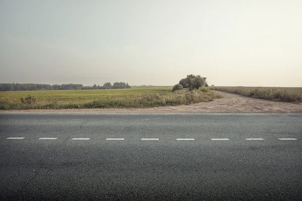 Carretera asfaltada a través del campo verdeasfaltweg door het groene veld Stockfoto