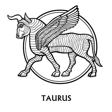 Toros burç. Vektör sanat. Siyah ve beyaz zodyak çizim üzerinde beyaz izole.