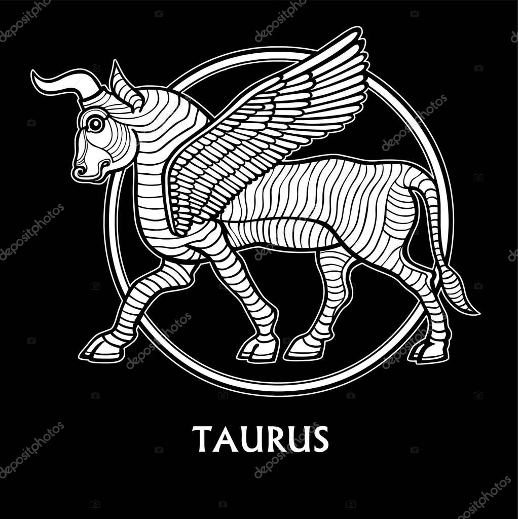 Zodiac sign Taurus. Character of Sumerian mythology. The linear drawing, white contour isolated on a black background. Vector illustration. Print, posters, t-shirt, textiles.