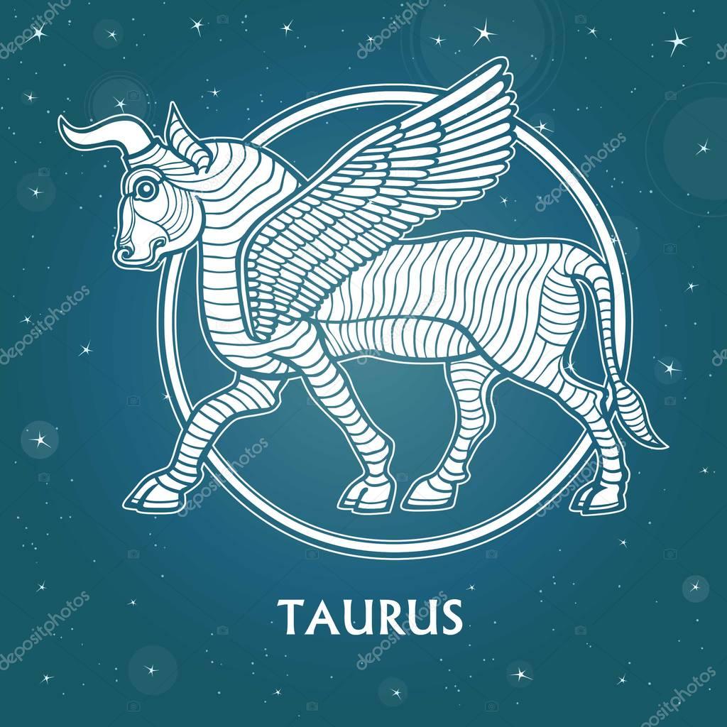 Zodiac sign Taurus. Character of Sumerian mythology. Background - the star sky. Vector illustration.