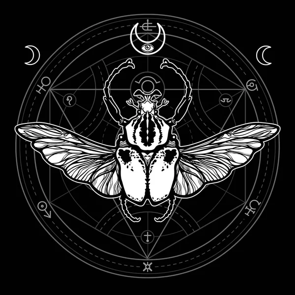 Un insecte ailé. Cercle mystique. Symbole ésotérique, géométrie sacrée. Signe de la lune. Dessin monochrome isolé sur fond blanc. Illustration vectorielle. Impression, affiches, t-shirt, textiles . — Image vectorielle