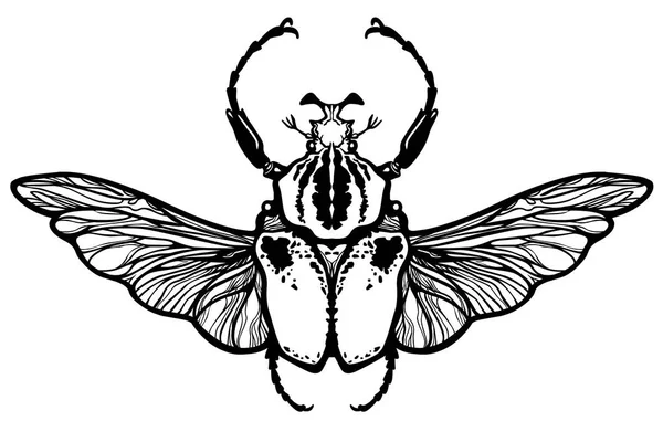 Un insecte ailé. Le dessin linéaire noir isolé sur un fond blanc. Illustration vectorielle . — Image vectorielle