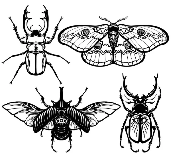 Collection d'images d'insectes : insectes et papillons de nuit. Le dessin linéaire isolé sur un fond blanc. Illustration vectorielle . — Image vectorielle