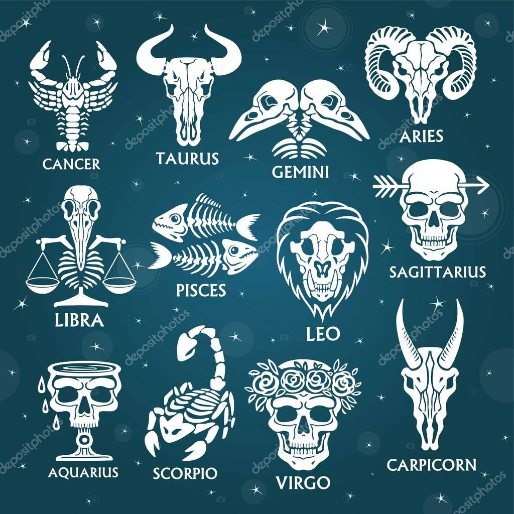 Bone horoscope. Zodiac signs. Background - the star sky. Vector illustration.