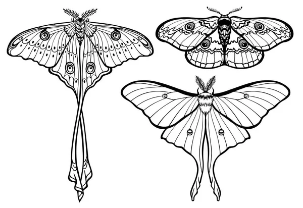 Reihe von dekorativen Schmetterlingen. Monochrome Zeichnung isoliert. Vektorillustration. Druck, Poster, T-Shirt, Textilien. — Stockvektor
