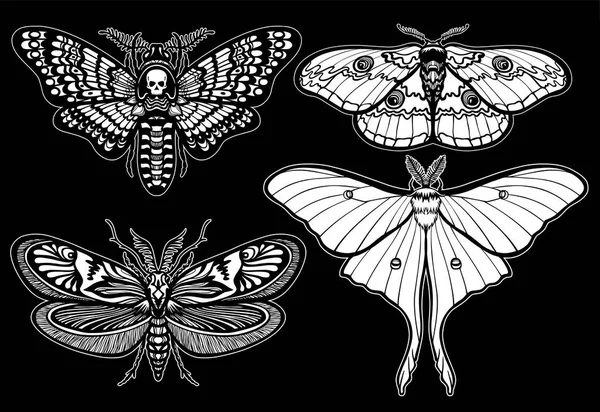 Sada dekorativní motýly. Černobílý výkres izolované. Vektorové ilustrace. Tisk, plakáty, trička, textil. — Stockový vektor