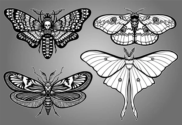 Ensemble de papillons décoratifs. Dessin monochrome isolé. Illustration vectorielle. Impression, affiches, t-shirt, textiles . — Image vectorielle