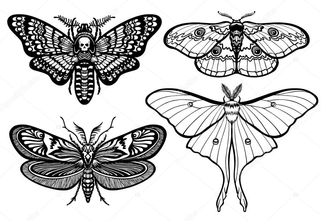 Set of decorative butterflies. Monochrome drawing isolated. Vector illustration. Print, posters, t-shirt, textiles.