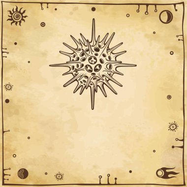 Bir radiolaria grafik görüntü. Alanı simgeler. Vektör çizim. Arka plan - taklit eski kağıt.