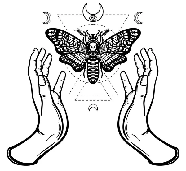 Menselijke handen houd een nachtvlinder de dode hoofd. Symbolen van de maan. Mystiek, esoterische, tovenarij. Heilige Geometrie. Kleurboek. Vectorillustratie geïsoleerd op een witte achtergrond. — Stockvector