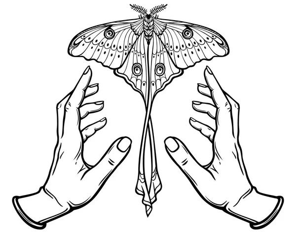 Human hands hold a butterfly having a tail. Coloring book. Vector illustration isolated on a white background. — Stock Vector