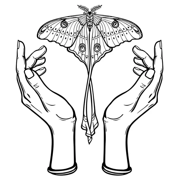 Les mains humaines tiennent un papillon ayant une queue. Livre à colorier. Illustration vectorielle isolée sur fond blanc . — Image vectorielle