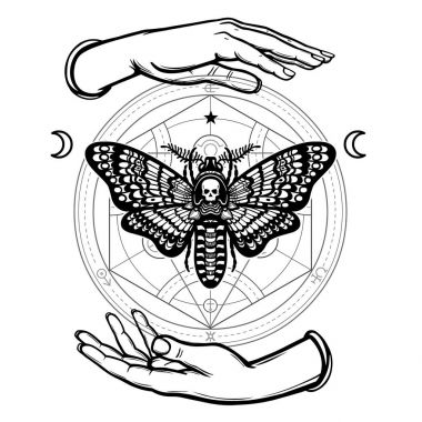 İnsan elinin bir güve ölü kafa tutun. Simya daire. Ayın sembolleri. Tasavvuf, ezoterik, büyü. Boyama kitabı. Beyaz bir arka plan üzerinde izole vektör çizim.