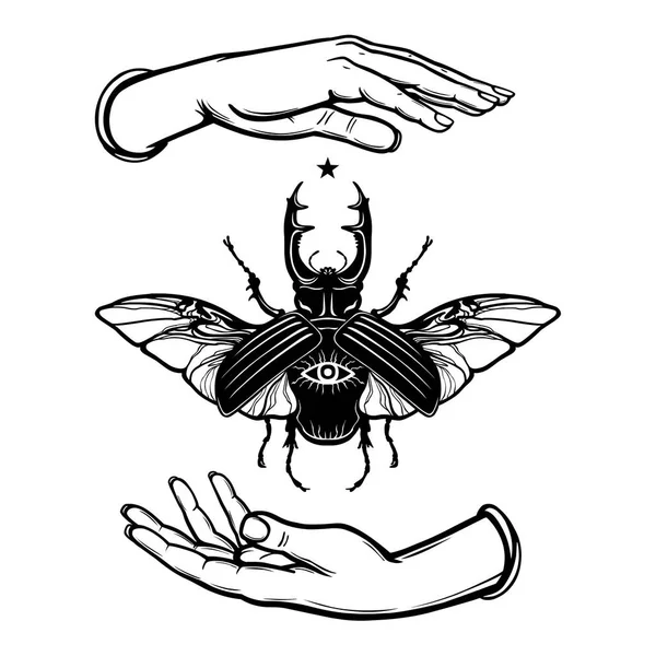Les mains humaines tiennent un insecte cornu. Symbole ésotérique. Illustration vectorielle isolée sur fond blanc . — Image vectorielle