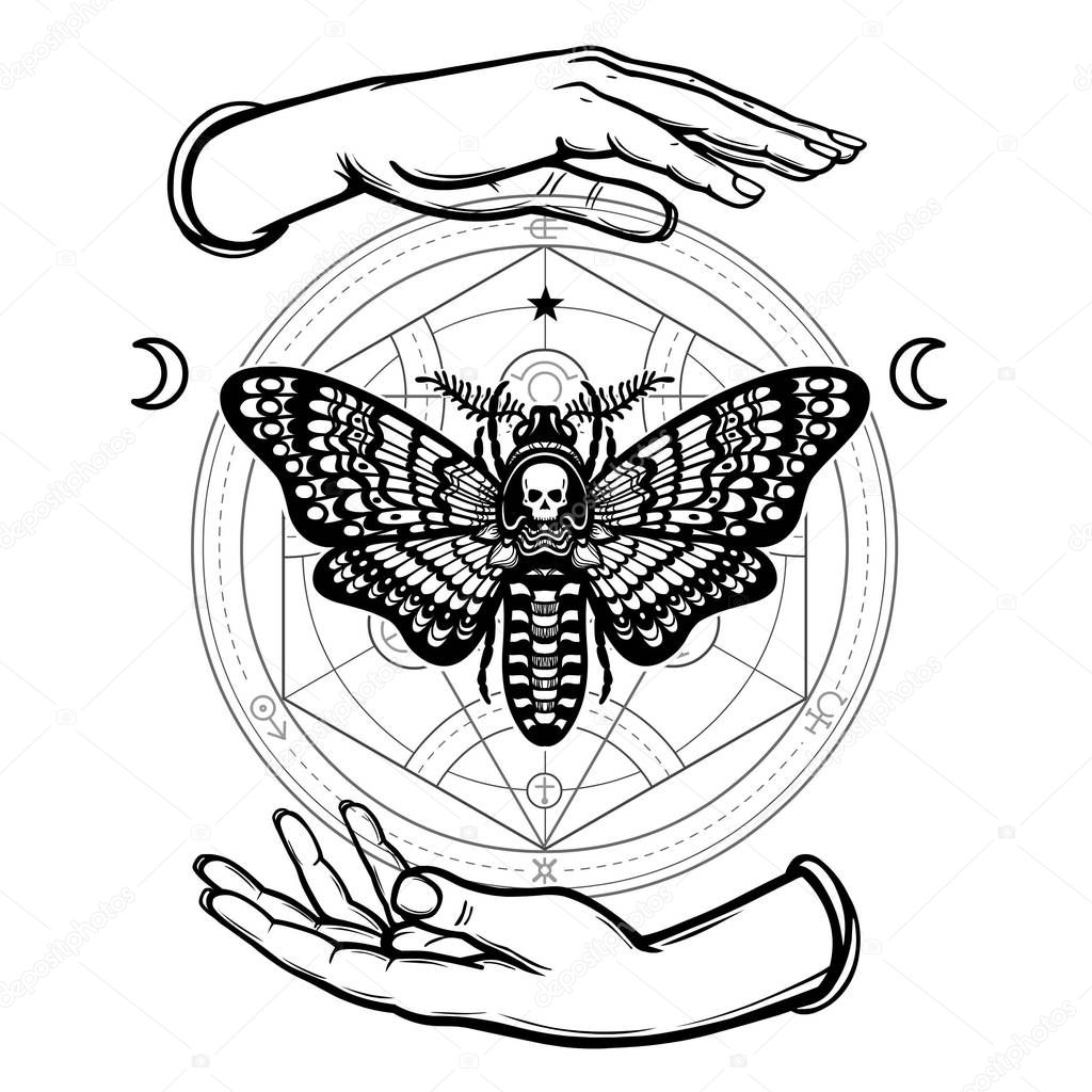 Human hands hold a moth the Dead Head. Alchemical circle. Symbols of the moon. Mysticism, esoteric, sorcery. Coloring book. Vector illustration isolated on a white background.