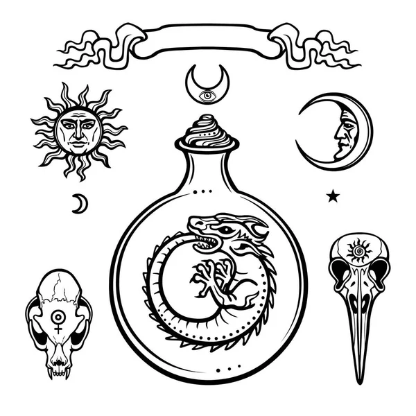 Set of alchemical symbols. Origin of life. Mystical snakes in a  test tube. Religion, mysticism, occultism, sorcery.Vector illustration isolated on a white background. — Stock Vector