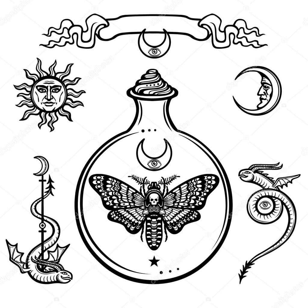Set of alchemical symbols. Origin of life. Moth Dead Head in a test tube. Religion, mysticism, occultism, sorcery.Vector illustration isolated on a white background.