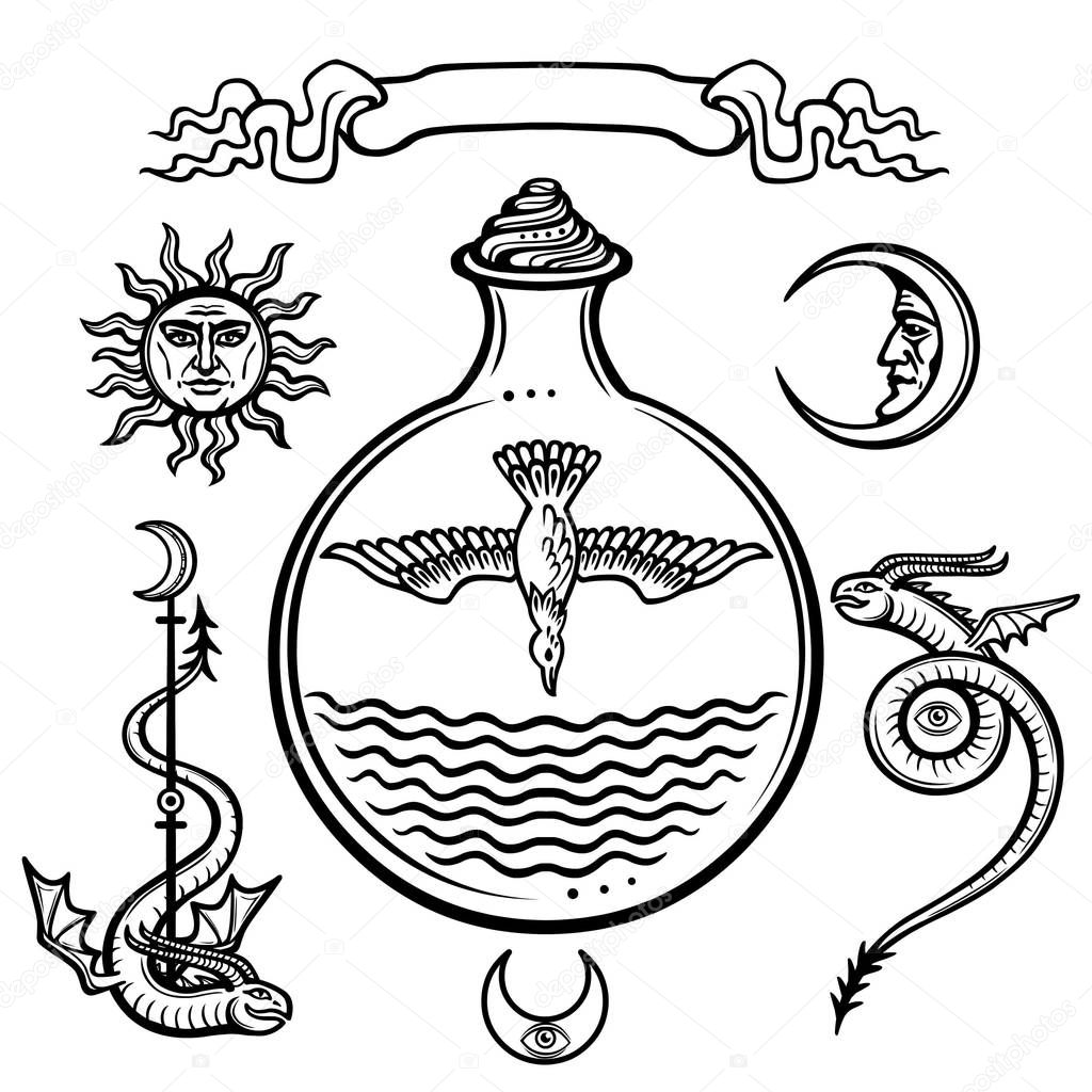 Set of alchemical symbols. Origin of life.  Symbolical bird in a test tube. Religion, mysticism, occultism, sorcery.Vector illustration isolated on a white background.