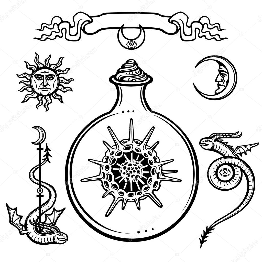 Set of alchemical symbols. Origin of life. Skeleton of a radiolaria in a test tube. Religion, mysticism, occultism, sorcery.Vector illustration isolated on a white background.