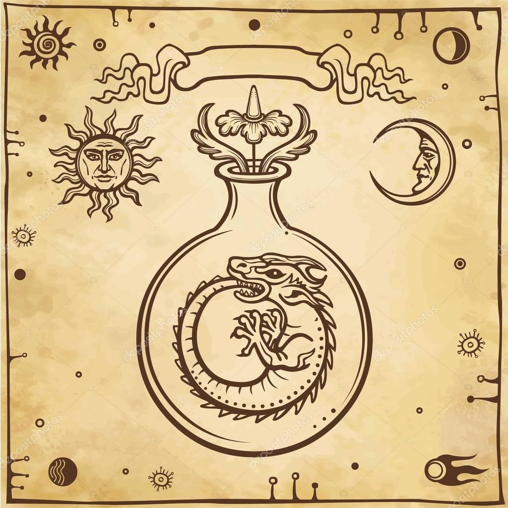 Set of alchemical symbols. Origin of life. Mystical snakes ouroboros in a test tube. Religion, mysticism, occultism, sorcery.  Background - imitation of old paper. Vector illustration.