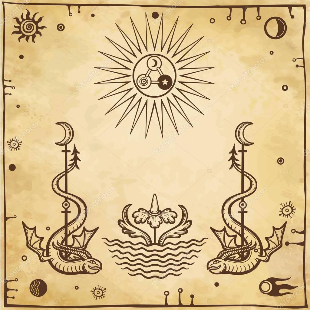 Alchemical drawing: winged snakes protect a flower. Esoteric, mystic, occultism. Symbols of the sun and moon. Background - imitation of old paper. Vector illustration.