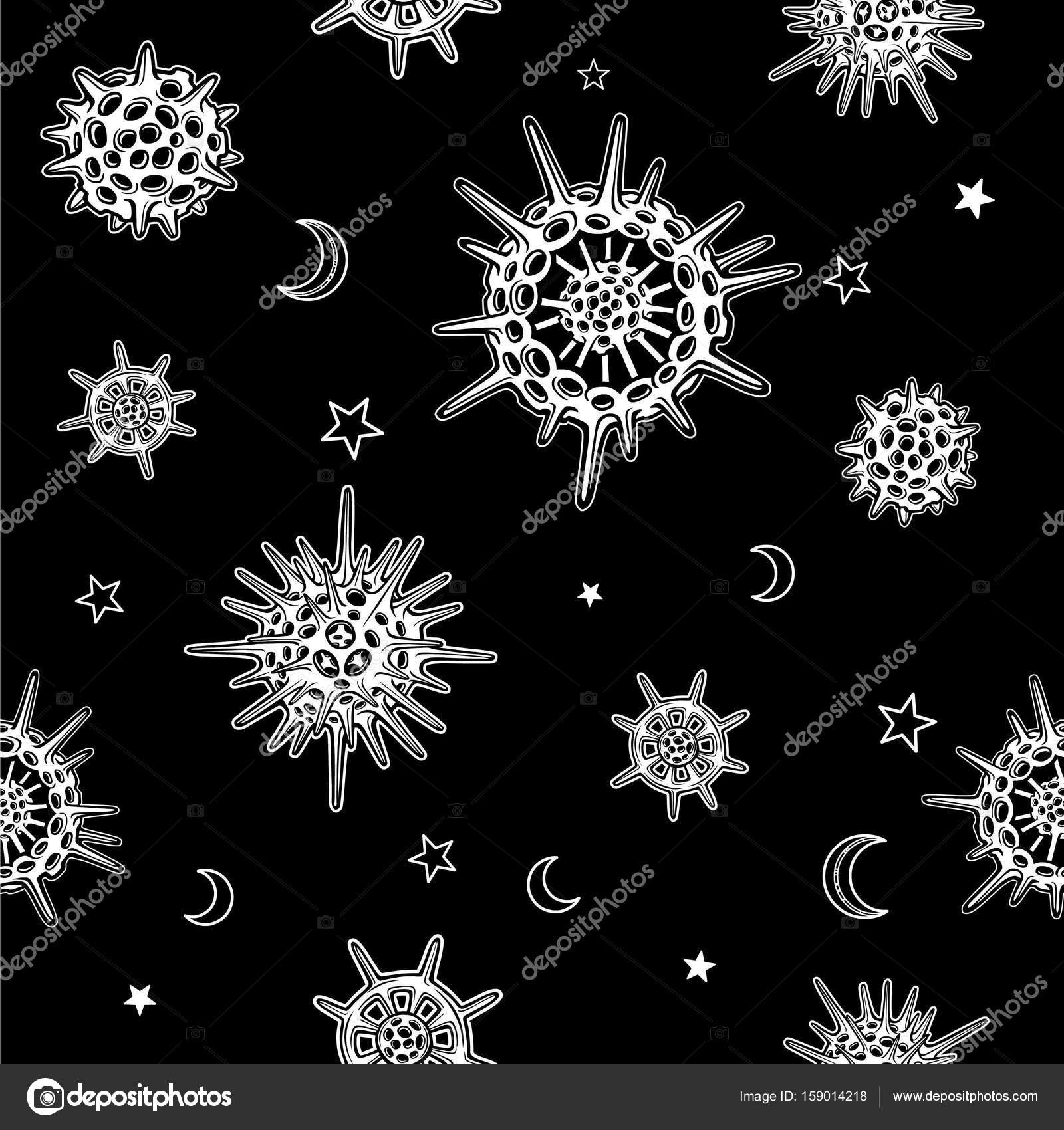 Modello Monocromatico Senza Cuciture Radiolarias Di Diverse