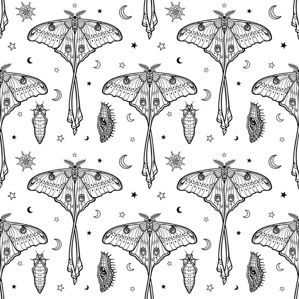 Modèle monochrome sans couture : papillons tropicaux, larves, symboles de la lune. Dessin noir sur fond blanc. Illustration vectorielle . — Image vectorielle