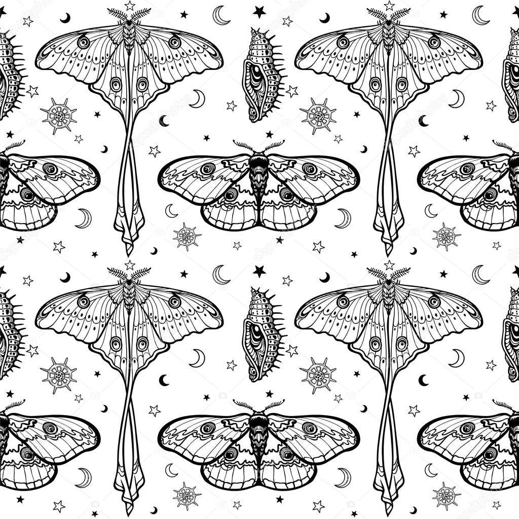 Seamless monochrome pattern: Tropical butterflies, larvae, symbols of the moon.  Black drawing on a white background. Vector illustration.