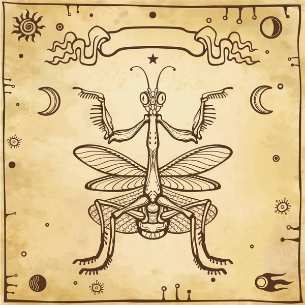 Dekoratív kép a Mantis. Ezotéria, misztikum, boszorkányság. Háttér - utánzat, a régi papír. Vektoros illusztráció. — Stock Vector