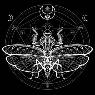 Grafik süsleyici resim Mantis. Dönüşümleri simya çemberi. Ezoterik, Tasavvuf, büyü. Vektör illüstrasyon izole bir siyah arka plan üzerine.