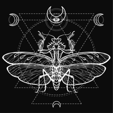 Grafik süsleyici resim Mantis. Kutsal geometri. Ezoterik, Tasavvuf, büyü. Vektör illüstrasyon izole bir siyah arka plan üzerine.