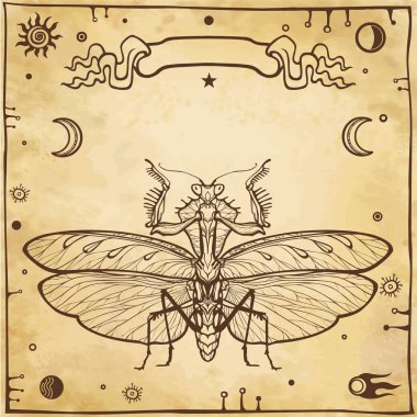 Grafik süsleyici resim Mantis. Ezoterik, Tasavvuf, büyü. Arka plan - eski kağıt imitasyon. Vektör çizim.