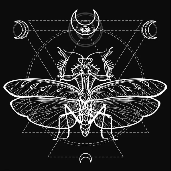 Decoratieve afbeelding van de Mantis. Heilige Geometrie. Esoterische, mystiek, tovenarij. Vectorillustratie geïsoleerd op een zwarte achtergrond. — Stockvector