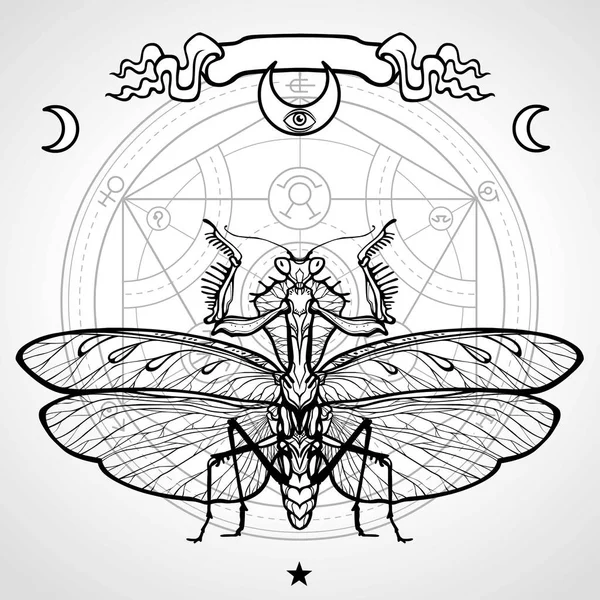 Decoratieve afbeelding van de Mantis. Alchemistische cirkel van transformaties. Esoterische, mystiek, tovenarij. Vectorillustratie. — Stockvector