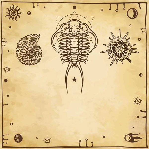 Ősi tengeri élőlények képe: trilobit, puhatestű, radiolaria. A háttér - utánzat a régi papír. Vektoros illusztráció. — Stock Vector