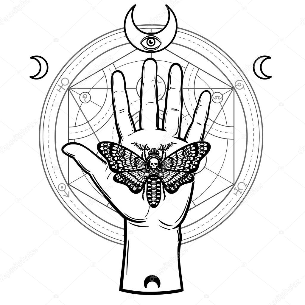 Human hand holds a  moth Dead Head. Symbols of the moon, alchemical circle of transformations. Vector illustration isolated on a gray background.