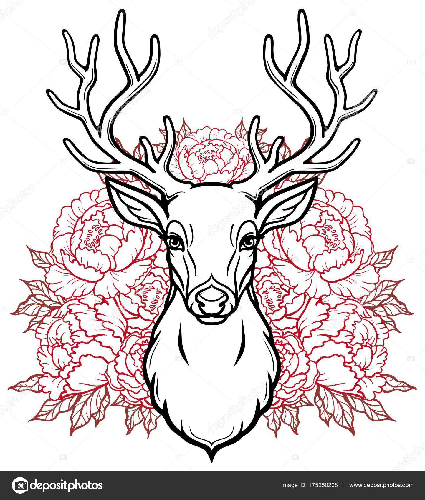 Dessin Tête De Cerf à Imprimer Gratuit Dessiner Une Tete De Cerf - Image tribal tête de chevreuil à colorier