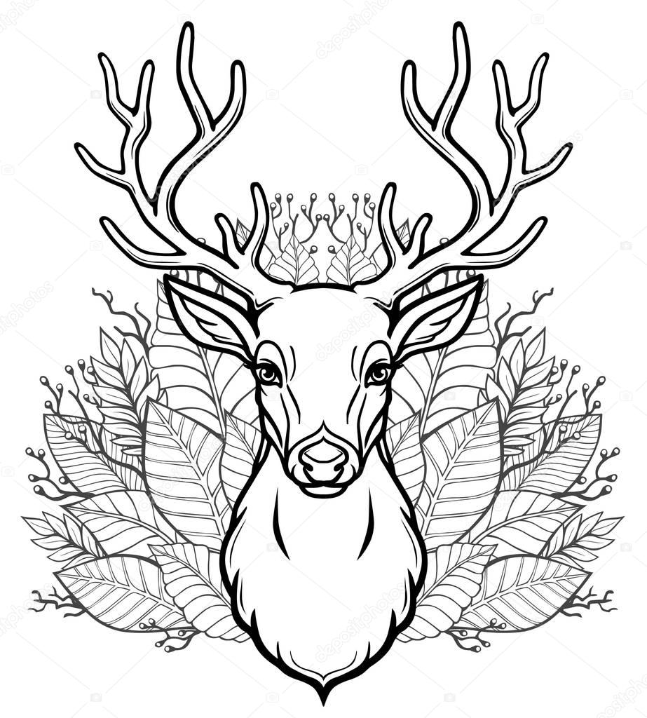 Linear drawing of the head of a young horned deer, bouquet of leaves. Vector illustration isolated on a white background. Print, potser, t-shirt, card.
