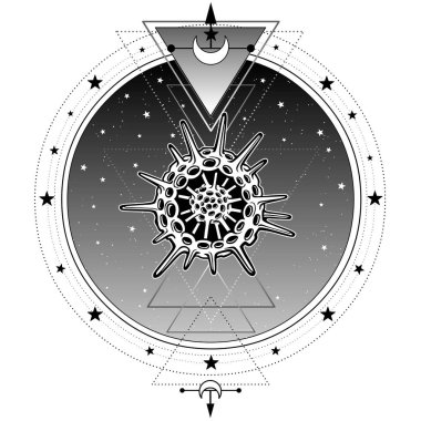 Mistik semboller hayat radiolaria menşe. Kutsal geometri. Simya, büyü, ezoterik, büyü. Beyaz bir arka plan üzerinde izole vektör çizim. Baskı, poster, tişört, kart.