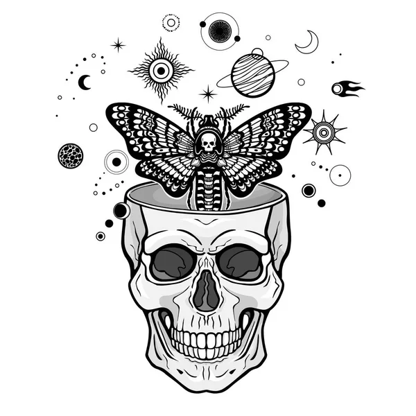 Mystical Drawing Moth Dead Head Flies Out Human Skull Symbols — Stock Vector