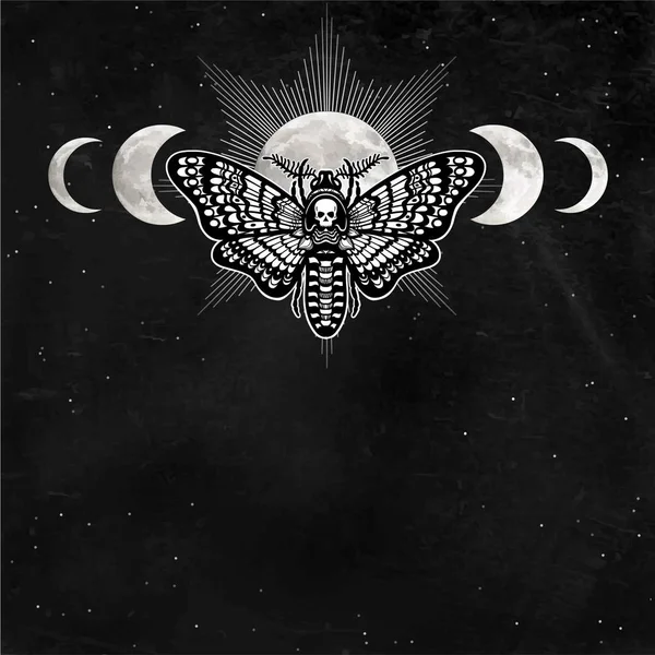 Mystical Drawing Moth Dead Head Night Star Sky Moon Phases — 스톡 벡터