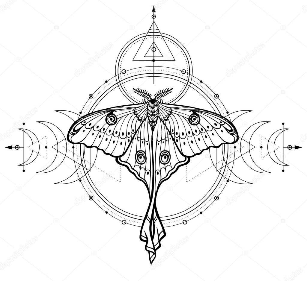 Mystical drawing: tropical butterfly, sacred geometry, moon phases, energy circles. Alchemy, magic, esoteric, occultism. Monochrome Vector Illustration isolated on a white background