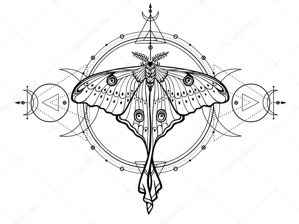 Mystical drawing: tropical butterfly, sacred geometry, moon phases, energy circles. Alchemy, magic, esoteric, occultism. Monochrome Vector Illustration isolated on a white background