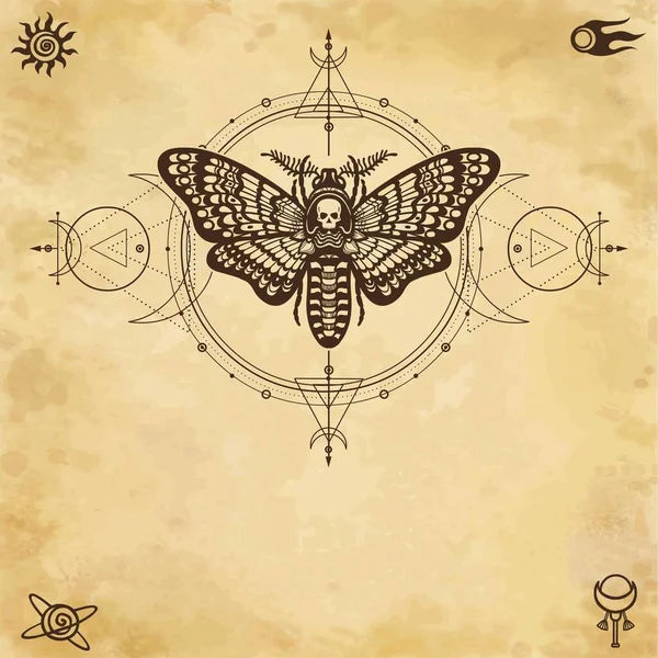 Mystical Drawing Moth Dead Head Sacred Geometry Moon Phases Energy — 스톡 벡터