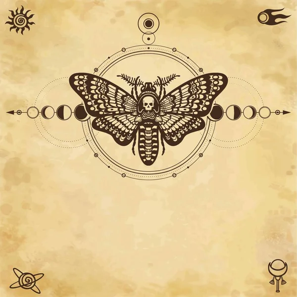 Mystical Drawing Moth Dead Head Sacred Geometry Moon Phases Energy — 스톡 벡터